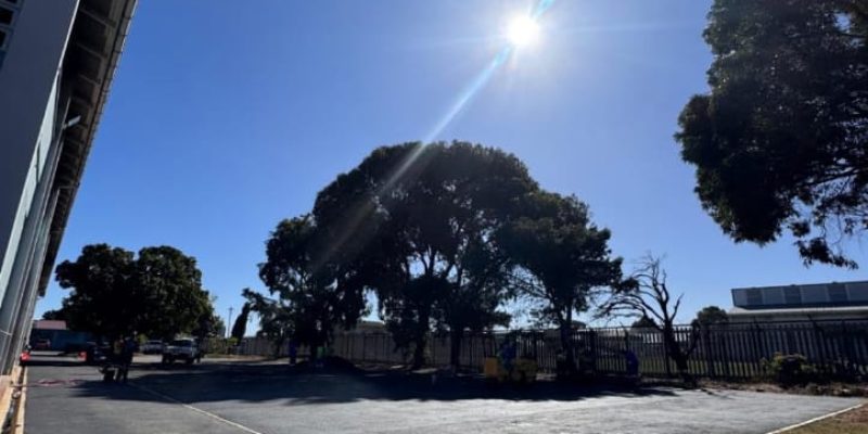 whatsapp-image-2025-06-27-at-152102-48ed8719